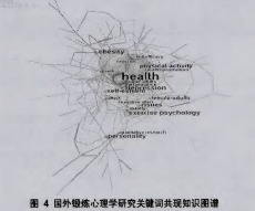 国外锻炼心理学研究关键词共现知识围谱