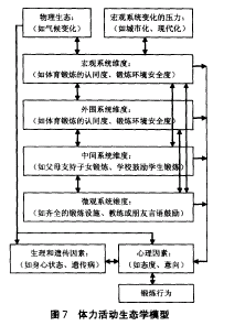 体力活动生态学横型