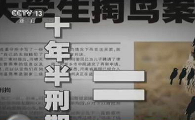 从“大学生掏鸟案”看我国立法与司法的衔接