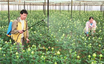 基于怀化学院音乐舞蹈对湘西民族民间舞蹈课程研究