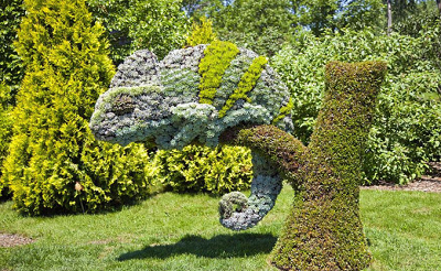 “藏匿”与“炫耀”式景观中植物种植的美学比较